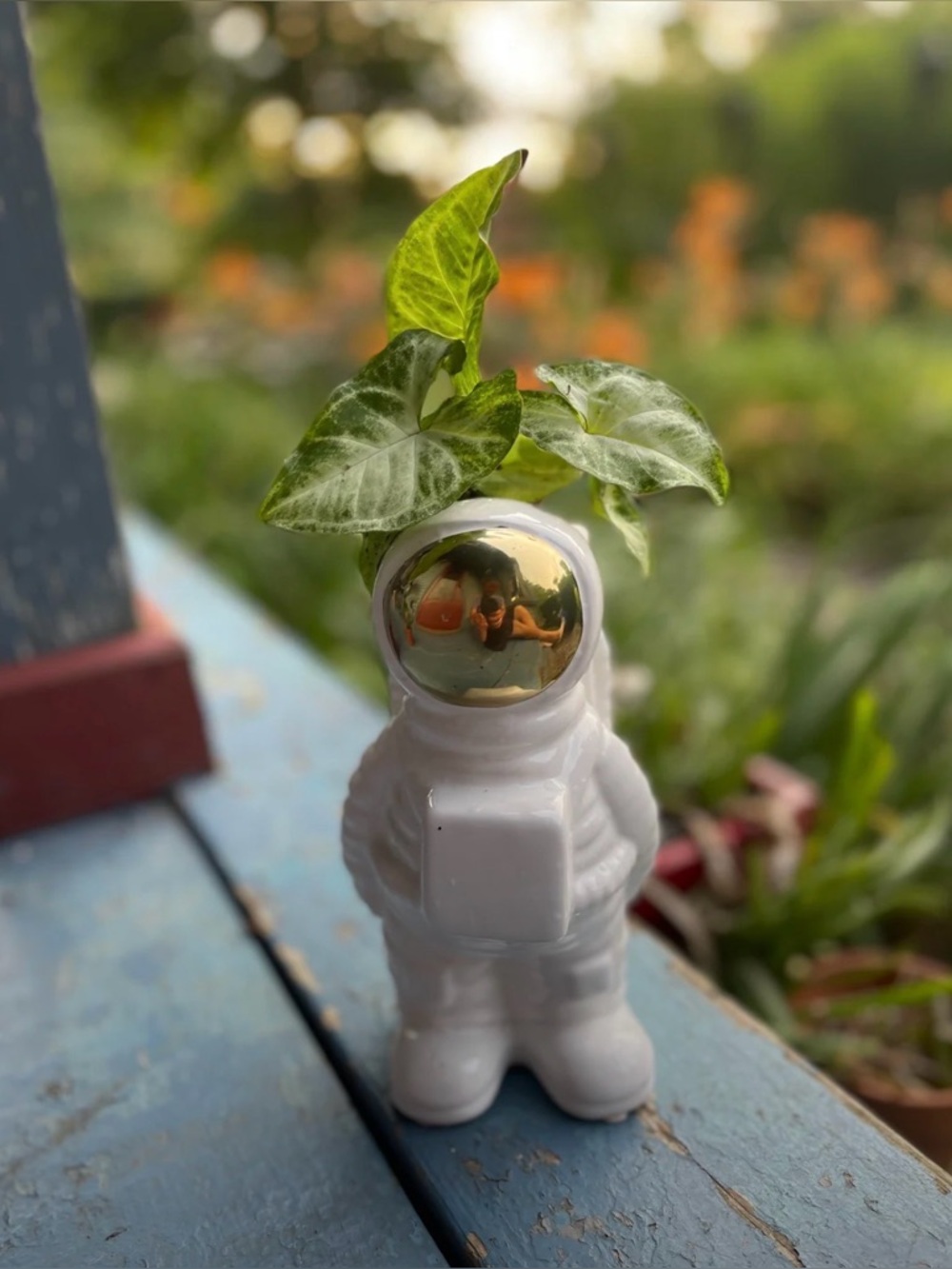 Astronaut vase - Picture 2 of 7